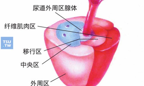 盐酸胍甲环素胶囊副作用大吗-甲环酸片的说明书、甲 环素 -盐酸胍甲环素胶囊副作用网